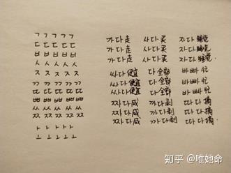 羊驼简谱_羊驼图片可爱(2)