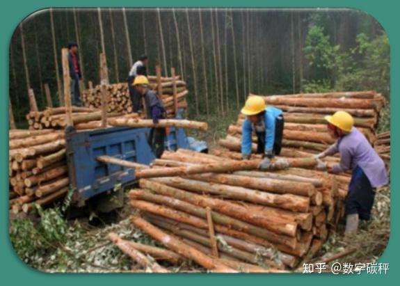 “双碳”目标下林业碳汇和碳交易基础知识系列(四)-易混淆的概念;(增)(五)-木质林产品碳核算 - 知乎