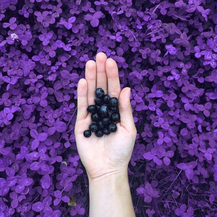 分享一组紫色系背景图壁纸 你是紫色控吗 知乎