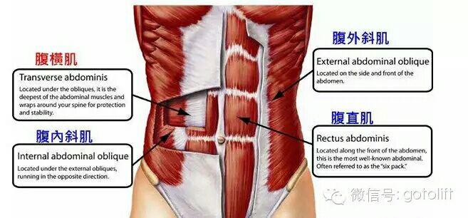 腹肌的形状是天生的,还是和练习动作有关? - 李