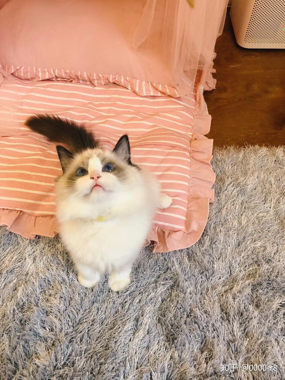 一个23岁的年轻人,手上有2万有什么好的理财建