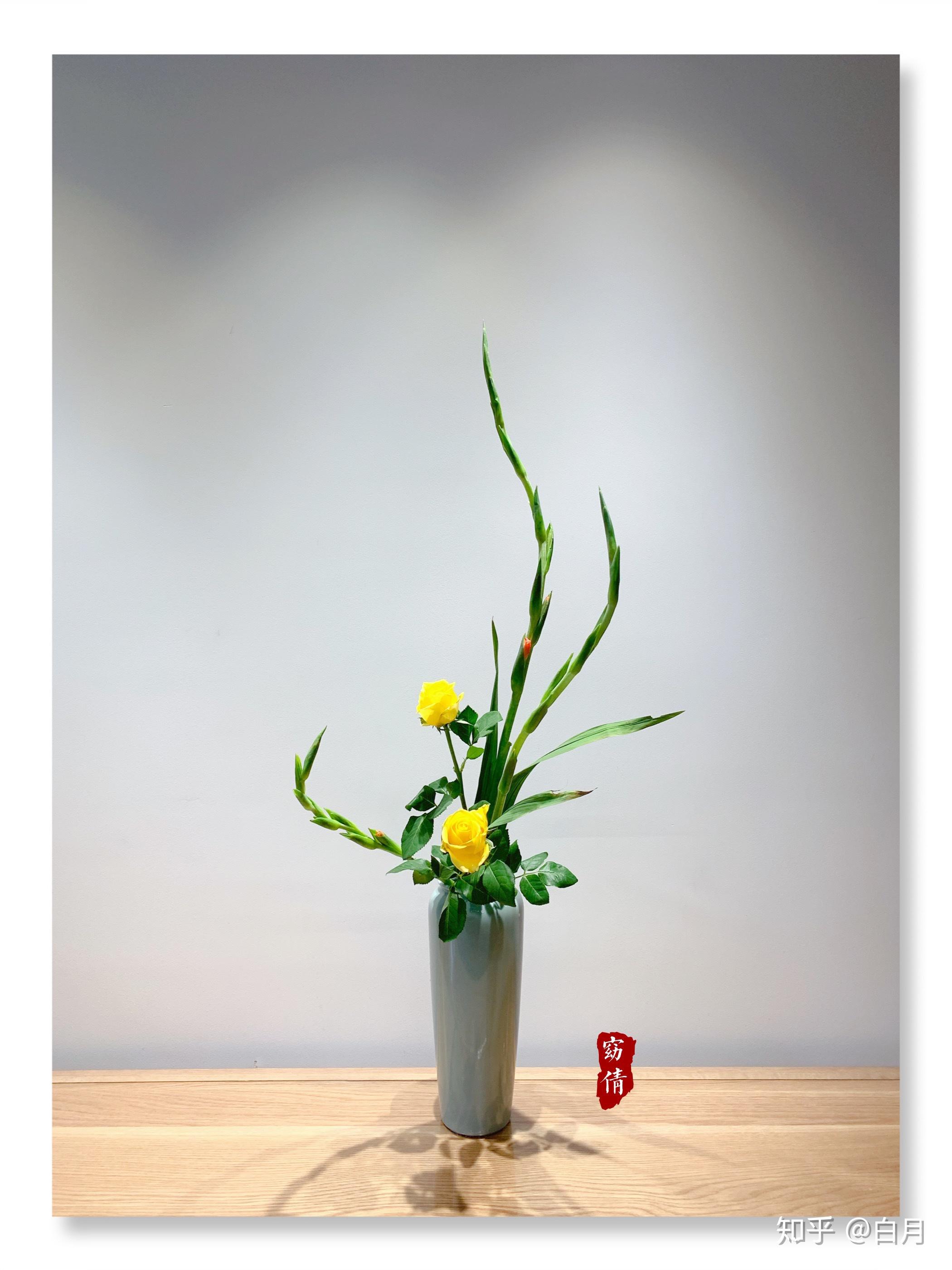 如何将通俗的剑兰插出美感