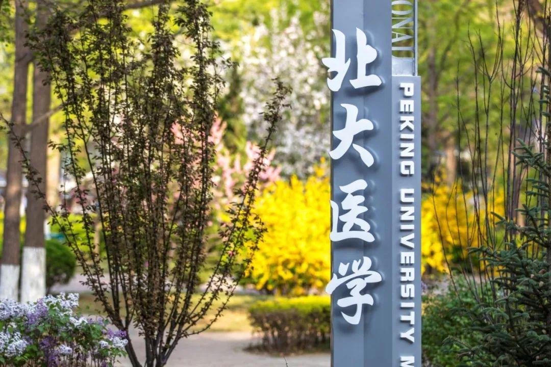 复旦大学,上海交通大学,浙江大学,山东大学,郑州大学,华中科技大学