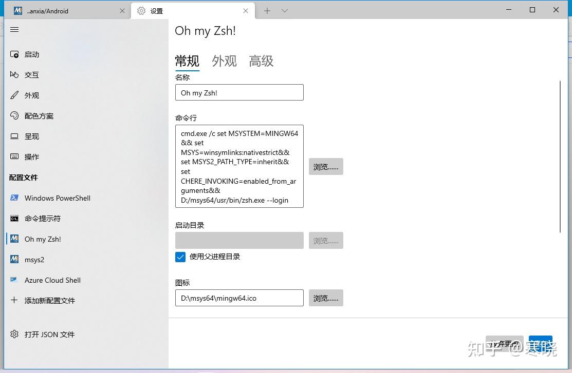 Windows 11 terminal msys2 oh my zsh 