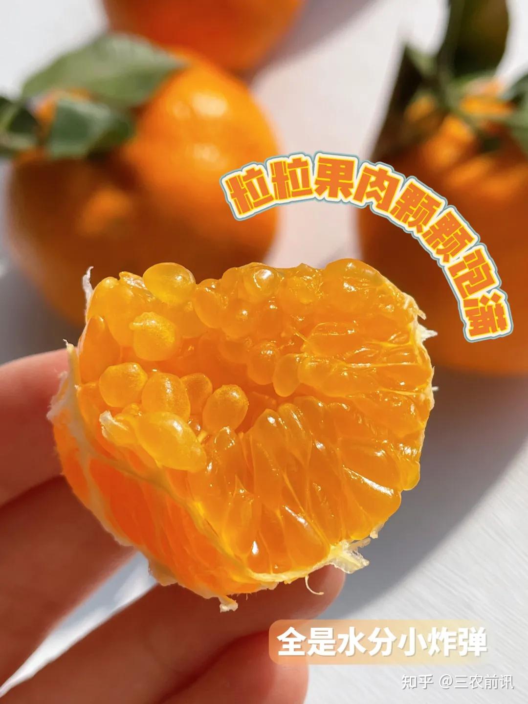 春见吃了会胖吗(春见含糖量高吗)
