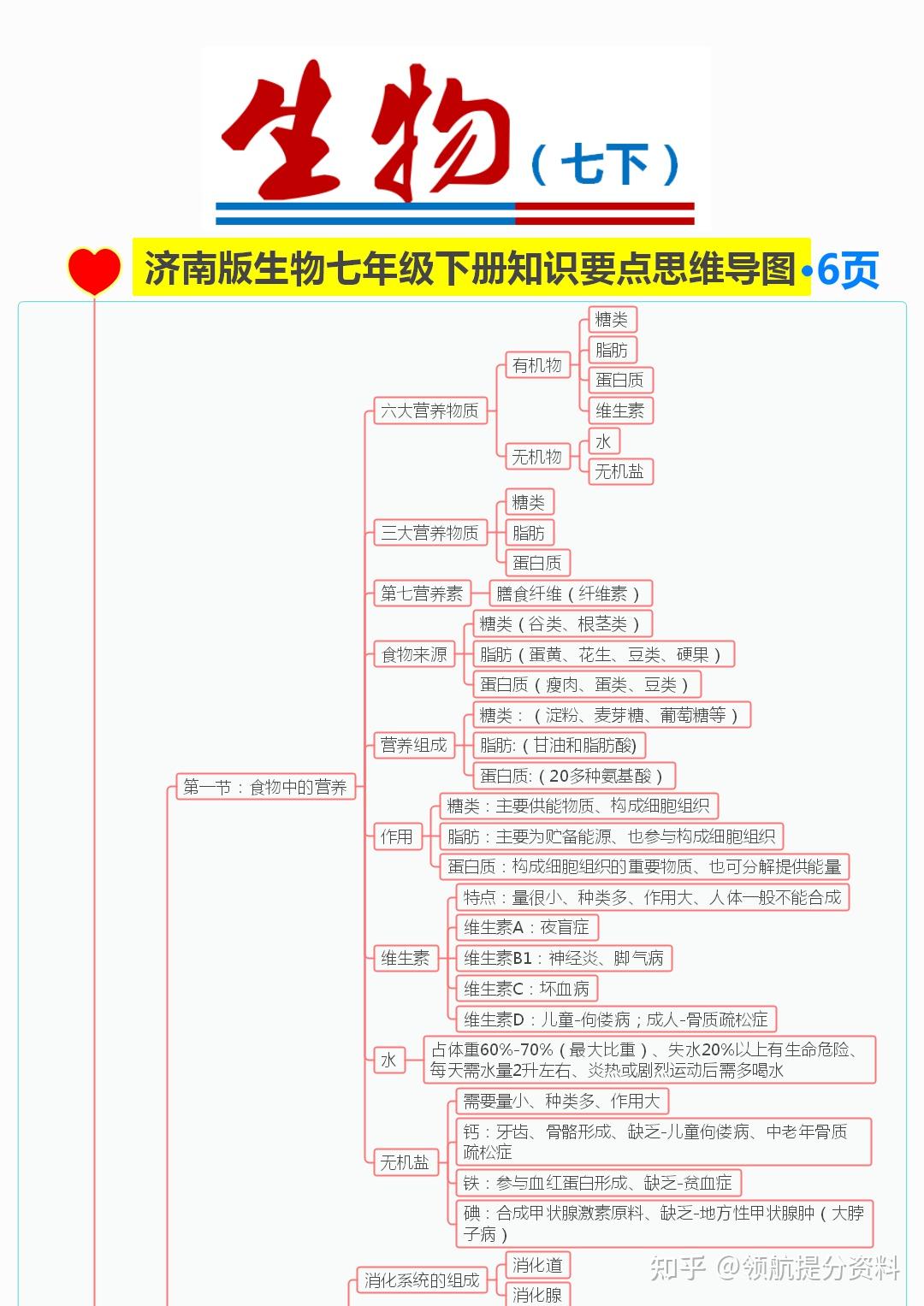 济南版生物七年级下册知识要点思维导图