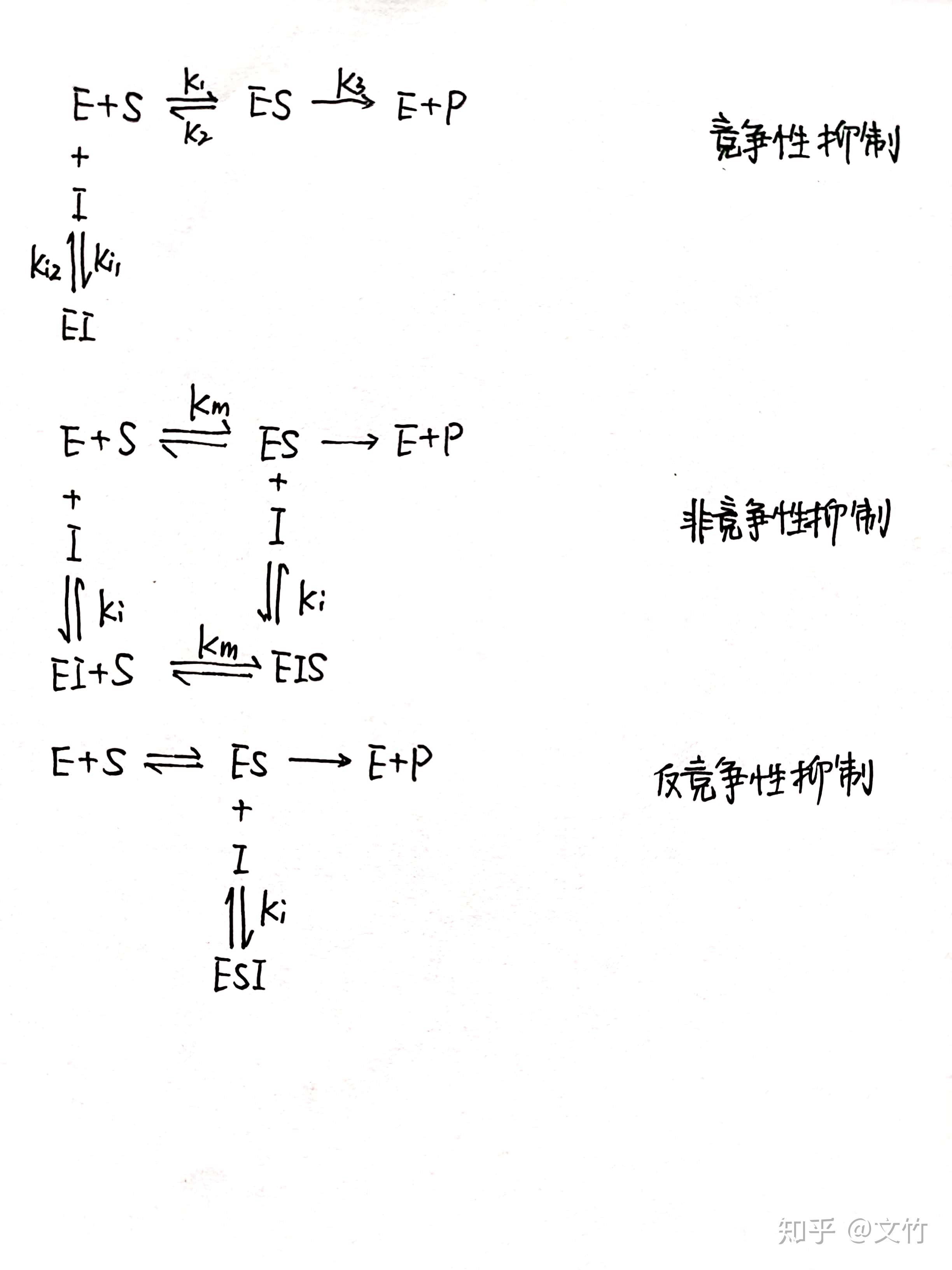 酶的可逆抑制剂影响Km和Vm的原理是什么? - 知乎