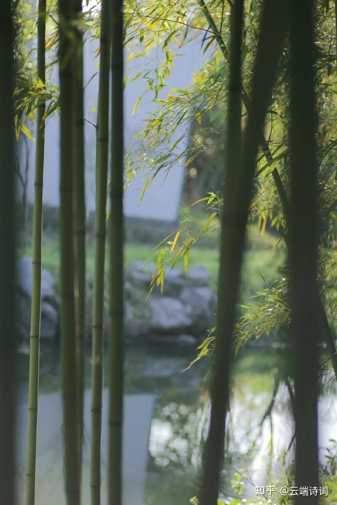 十五有关暮春的唯美绝句,桃花落处无人见,濯手惟闻涧水香 - 知乎