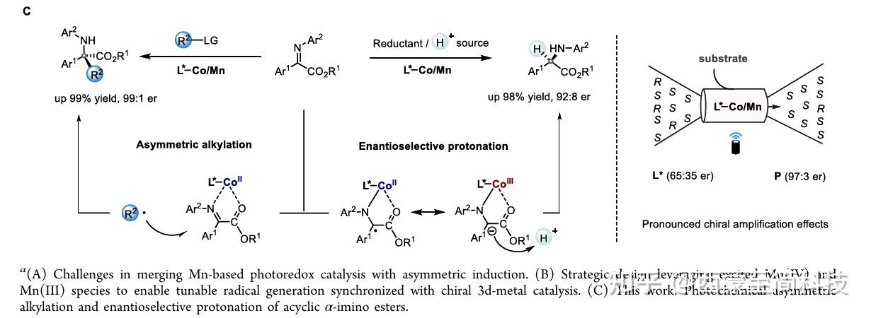 厦门大学龚磊/林玉妹团队 JACS:利用 Mn(IV)/Mn(III) 双激发配合物实现发散性光诱导不对称转化 - 知乎