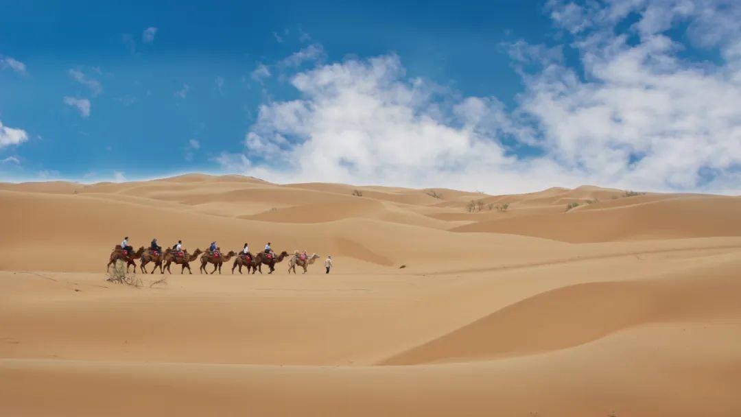宁夏旅游必去的十大景点,这才是真正的宁夏,建议收藏! - 知乎