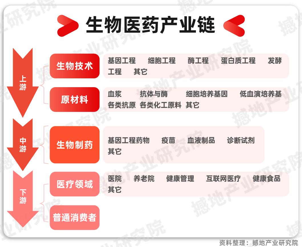 产业洞察中国生物医药产业链全景图及重点企业