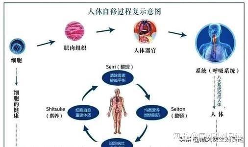 自身调节 zhuanlan.zhihu.com