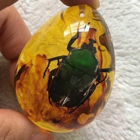 用现生的金龟子做的假虫珀