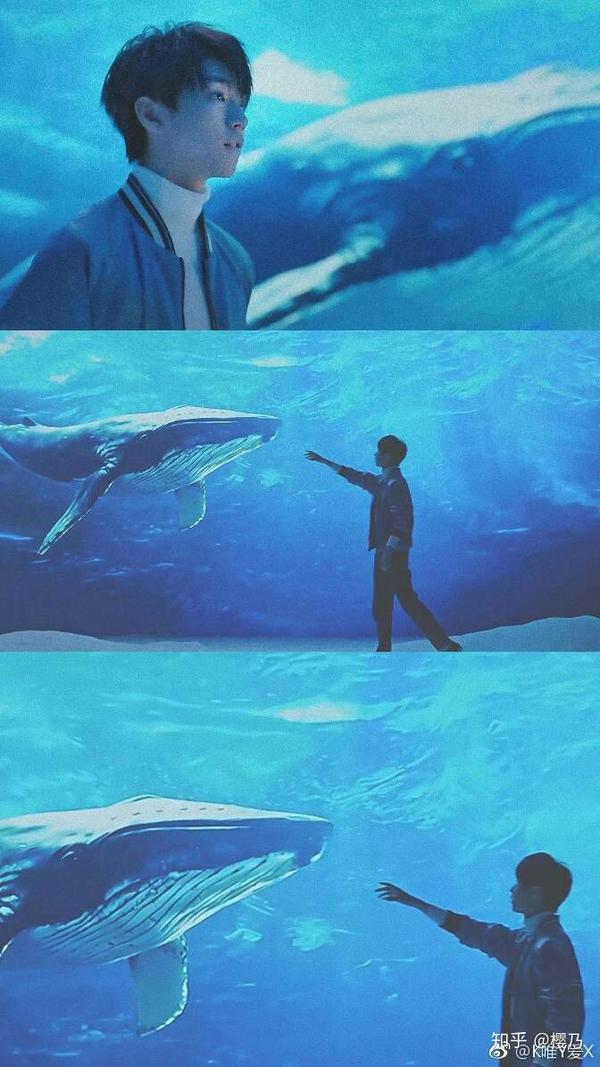 客观评价王俊凯长相?