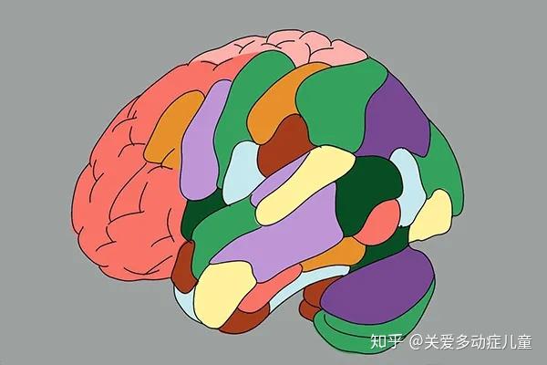 孩子学得慢学不会不是脑子笨是大脑枢纽之间的连接不良2个方法来改善