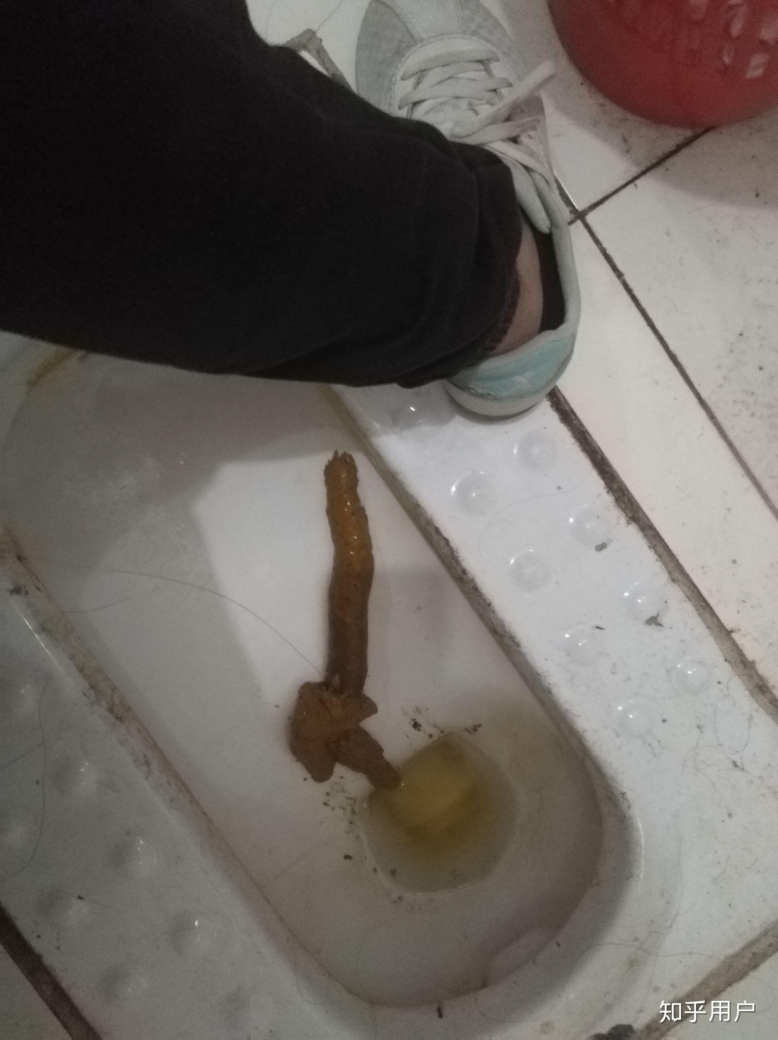 如何拉出一根50cm长的屎?