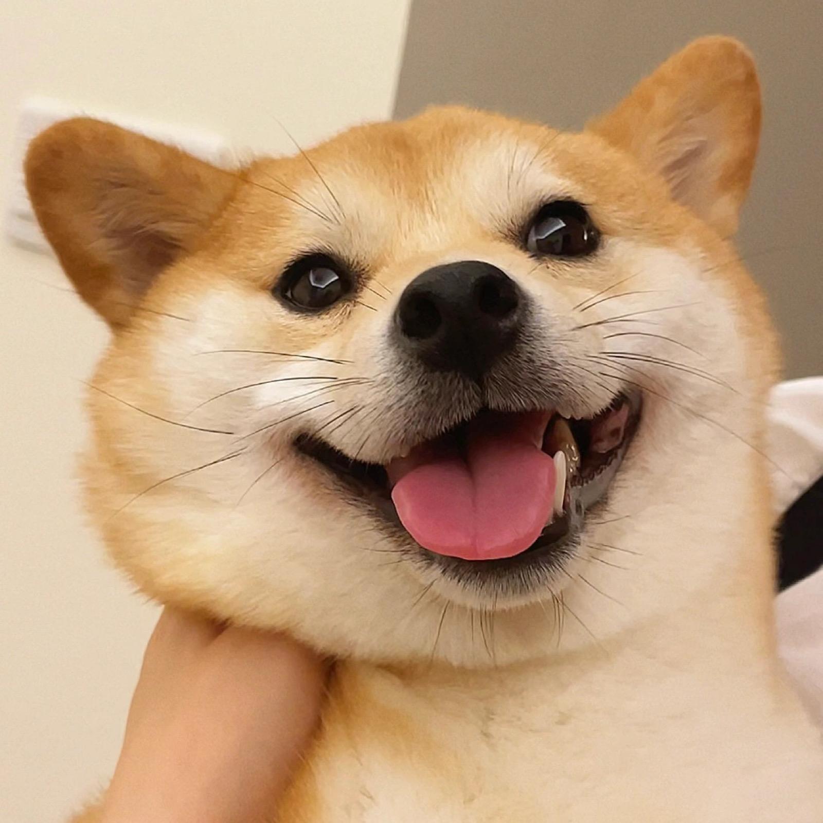 有没有适合男生用的微信头像