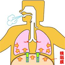 正确的呼吸法 