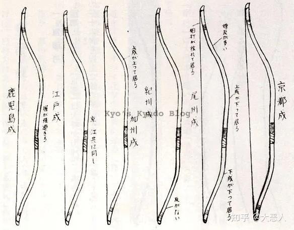 和弓属- 知乎