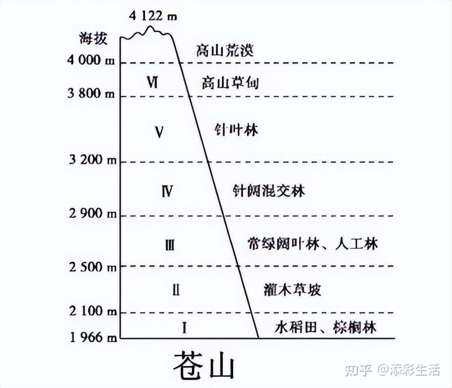 乞力马扎罗山垂直带谱图片