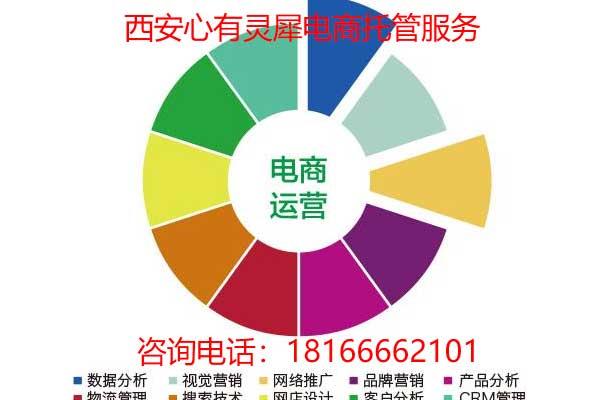 什么是电商运营具体做什么视频 v2-df8464fd0c5dbc6f9869dadd16c1ee42_1440w.jpg?source=172ae18b
