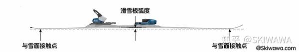 双板滑雪板详解-About Skis｜最全双板滑雪干货教程 - 知乎