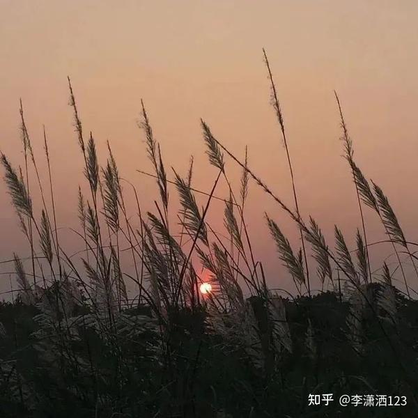 揭示温柔背后的秘密