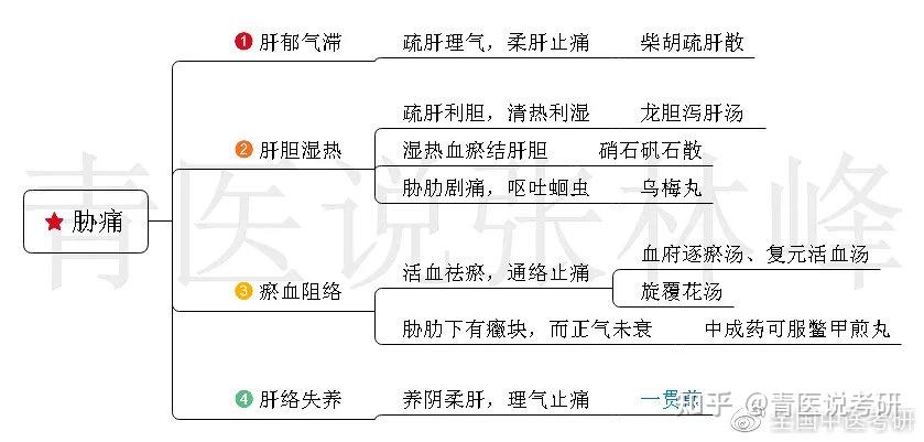 中醫考研脫水乾貨中內55病證超全思維導圖一篇用到考前