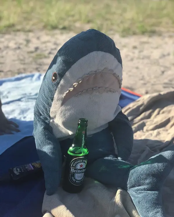 没有一个人类会拒绝宜家的大鲨鱼