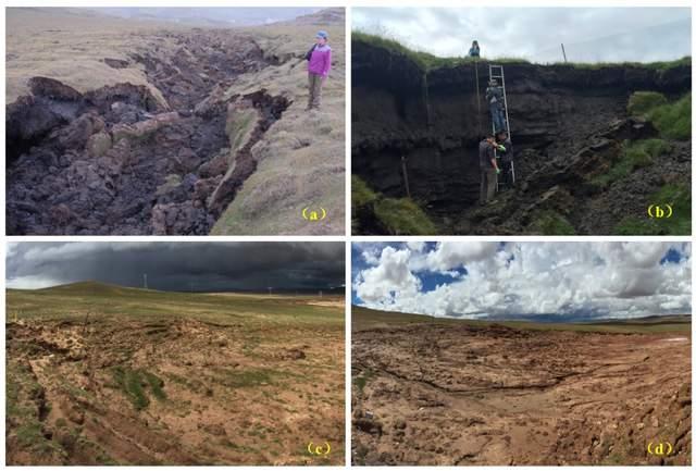 青藏高原多年冻土碳循环研究现状如何?