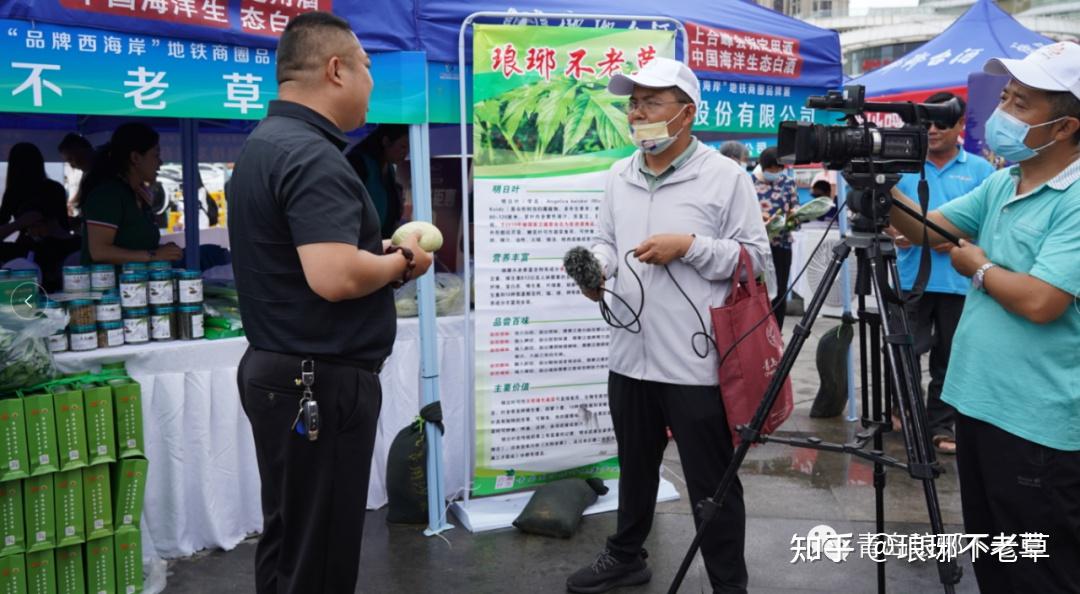 青岛琅琊不老草图片