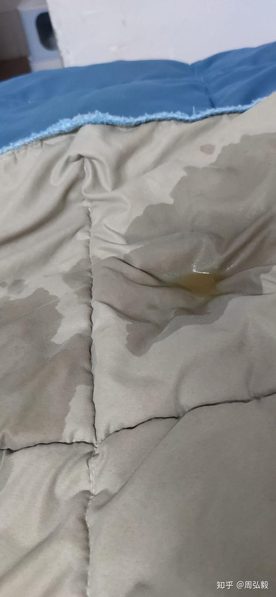 刚刚接到家一只四个多月的猫咪第一天就在床上拉屎和嘘嘘怎么教他呢