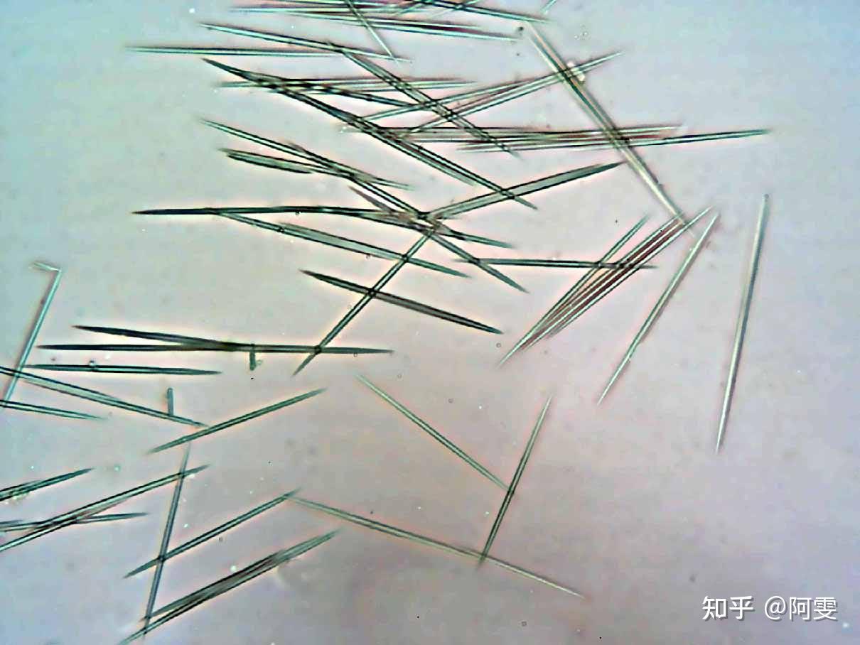 黄柏方晶手绘图图片