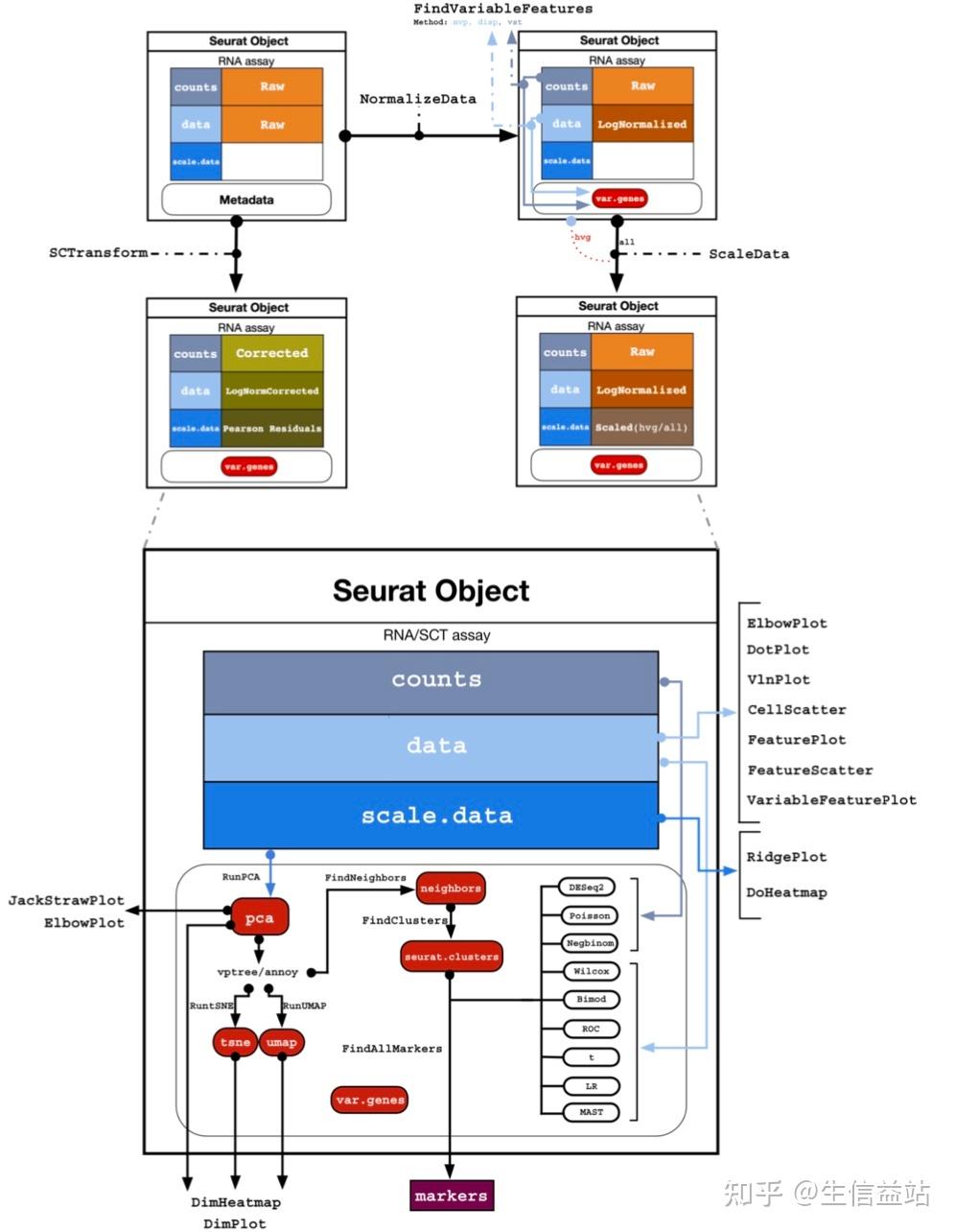 单细胞终极笔记之——Seurat、anndata/h5ad、LOOM、SingleCellExperiment 格式互相转换 - 知乎
