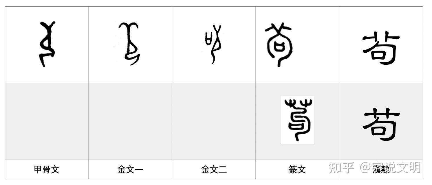 苟——每日一字·艸部字 - 知乎