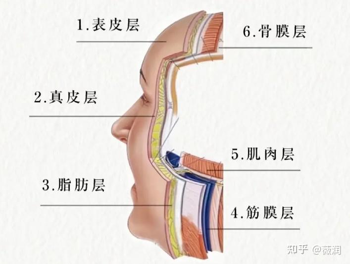 如何由內而外狙擊衰老重組Ⅲ型人源化膠原蛋白多層次改善衰老問題