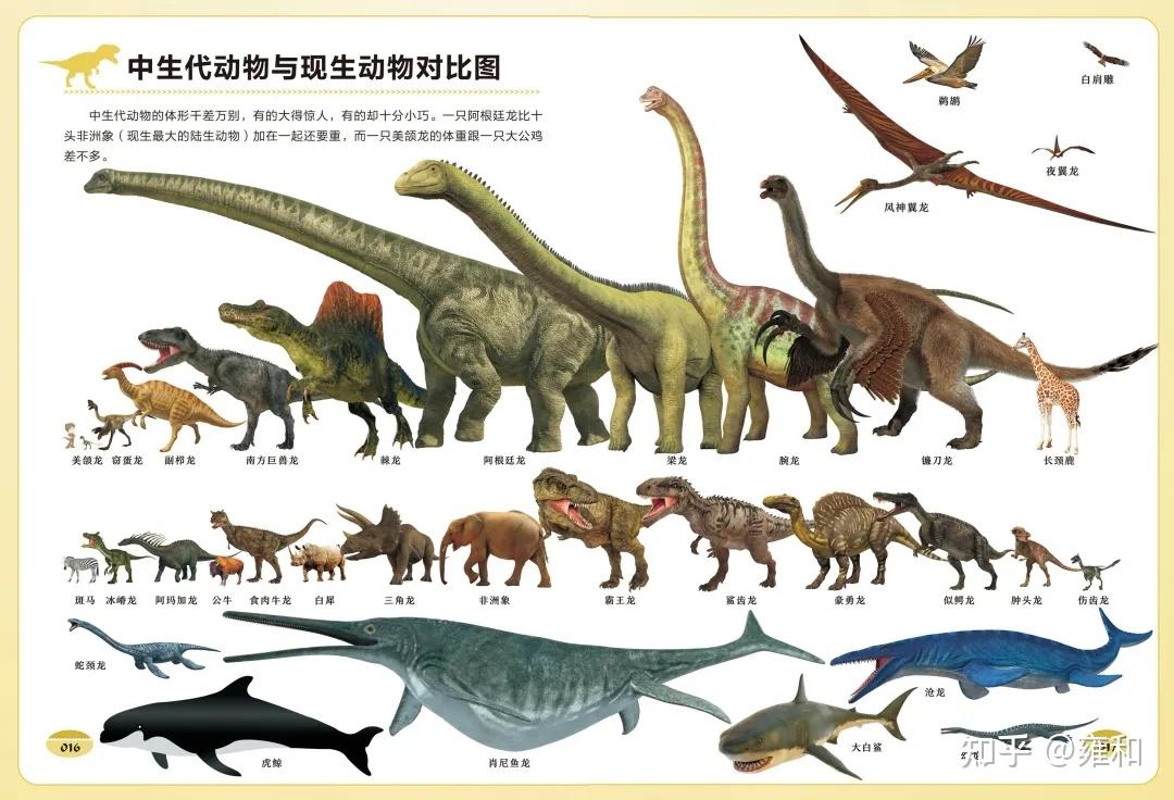 看恐龙知识,听恐龙故事,中科院中国古动物馆重磅出品,引领孩子打开