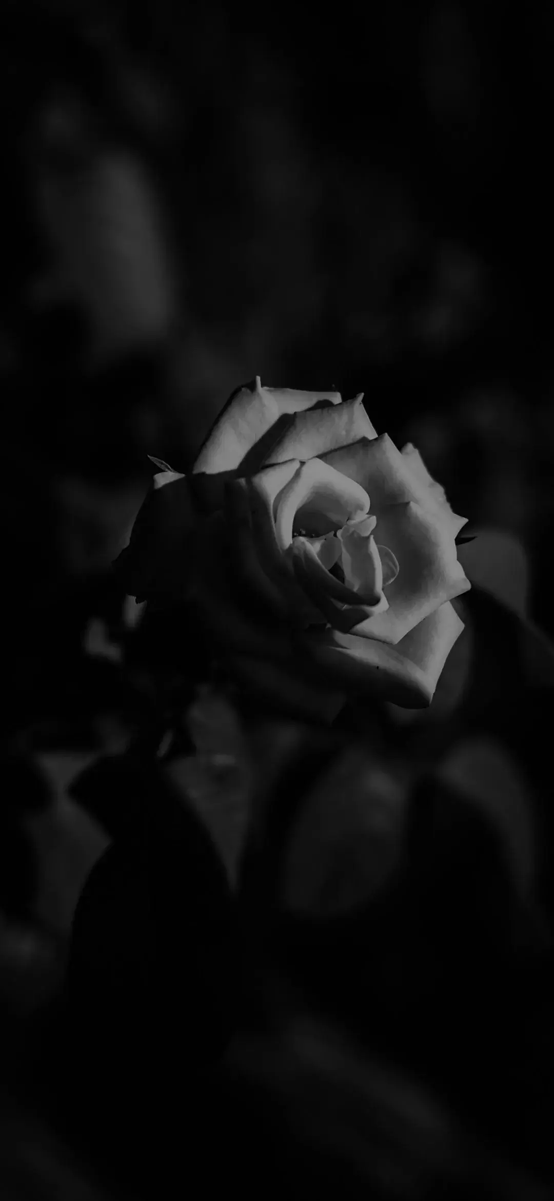 黑色壁纸,不压抑的黑色系壁纸来了