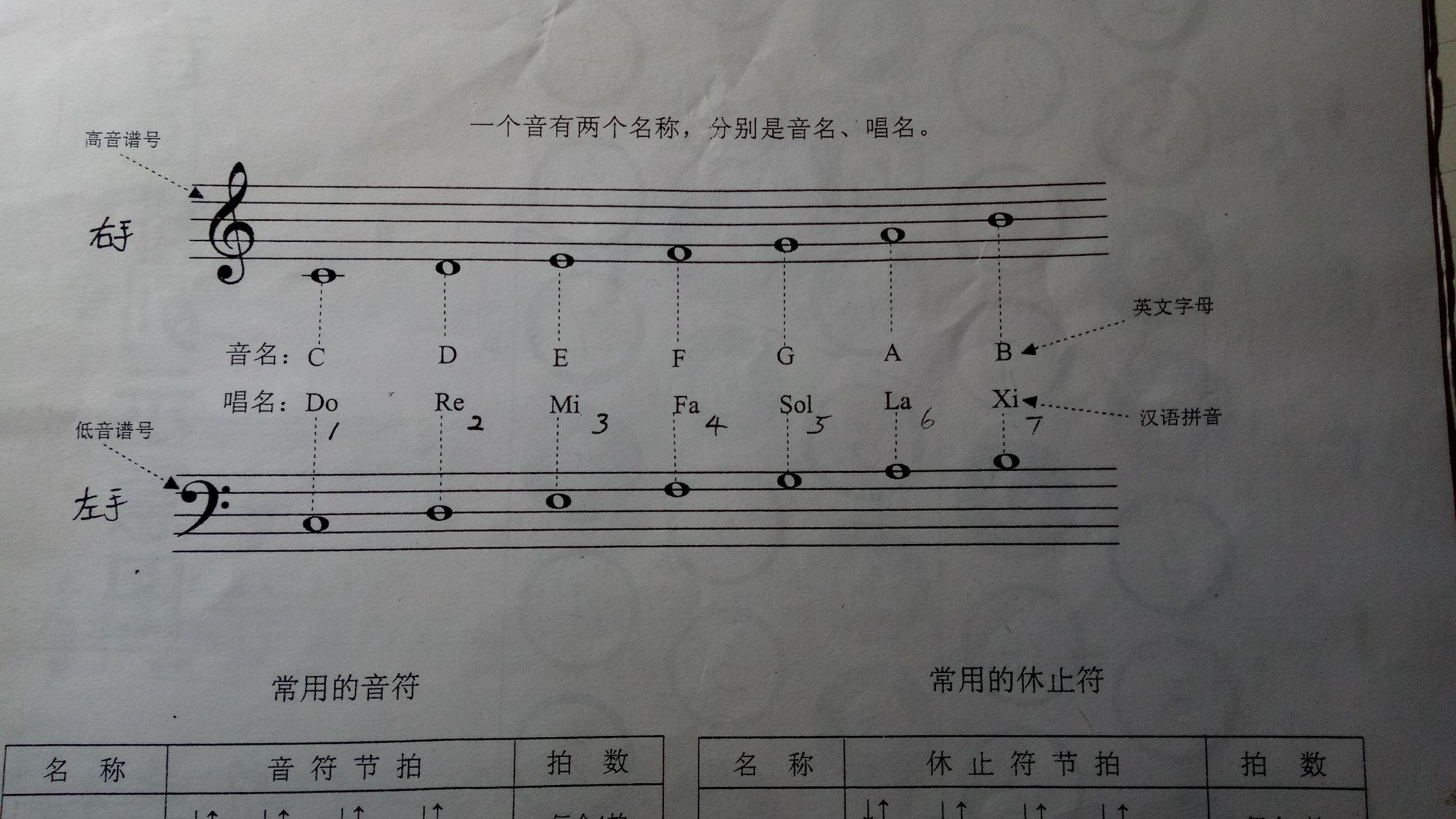 手风琴低音部怎么用啊?