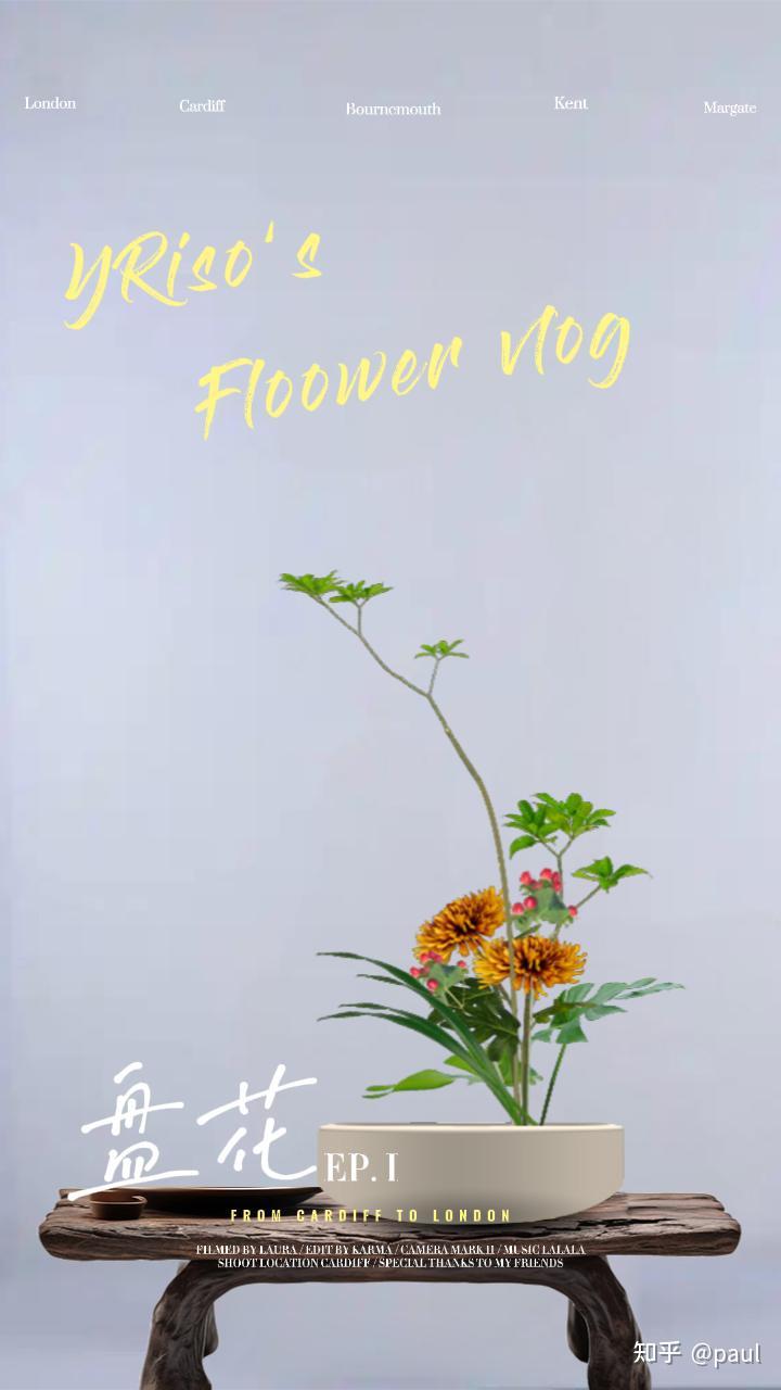 虚拟插花软件助力插花比赛绿 - 知乎