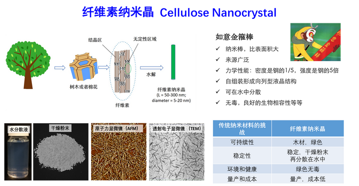 纖維素納米晶cnc簡介性能和應用三思科技sciencek