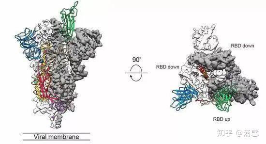 v2-dfe36a6ef2a5c501ae23adc1df3091dd_r.jpg