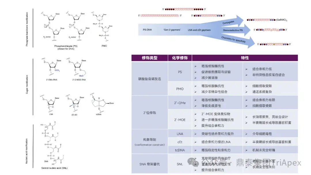 ASO 肾毒性机制解析与风险管控浅析 - 知乎