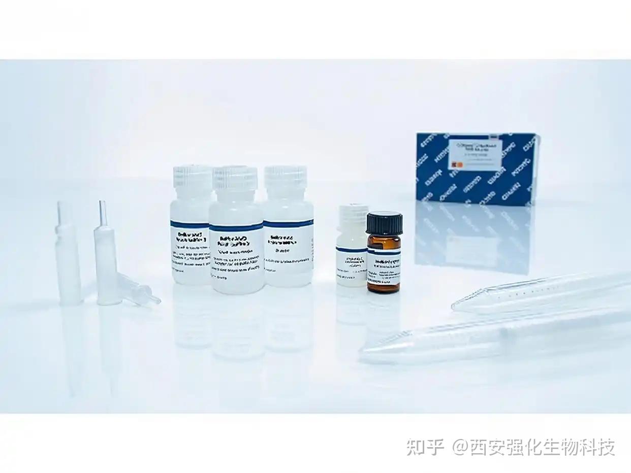 pBI221-EGFP Plant Expression Vector 植物表达载体的实验步骤 - 知乎