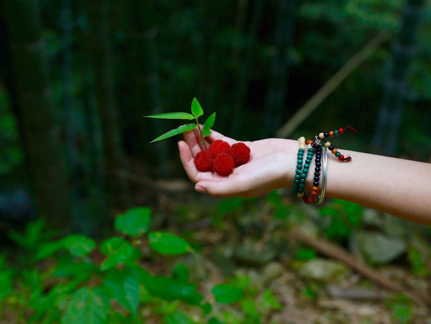 武夷山有什么好玩的?