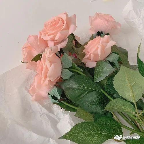 文案句子温柔干净治愈简短(文案 | 很暖很治愈的高级小短句)