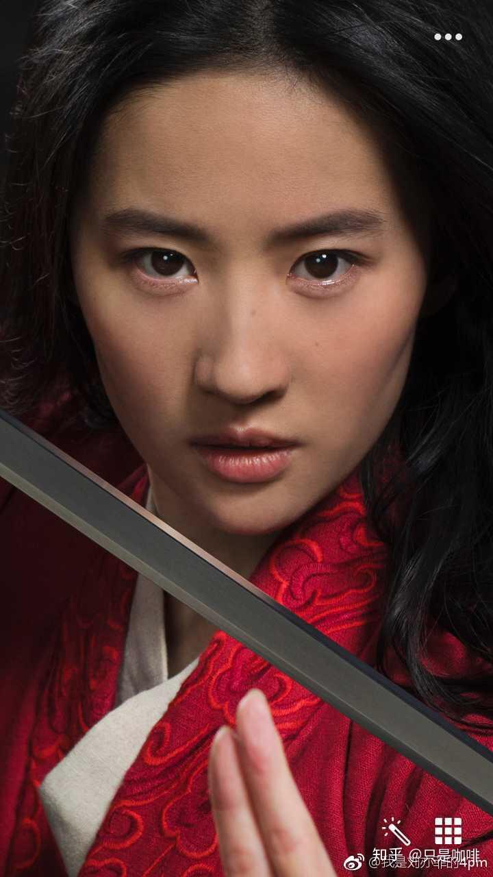 如何评价刘亦菲花木兰定妆照?