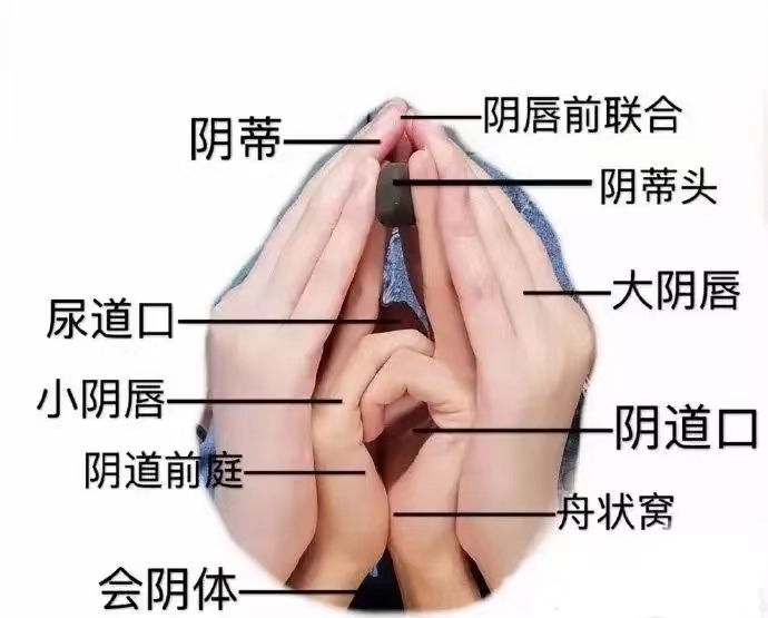 zhuanlan.zhihu.com