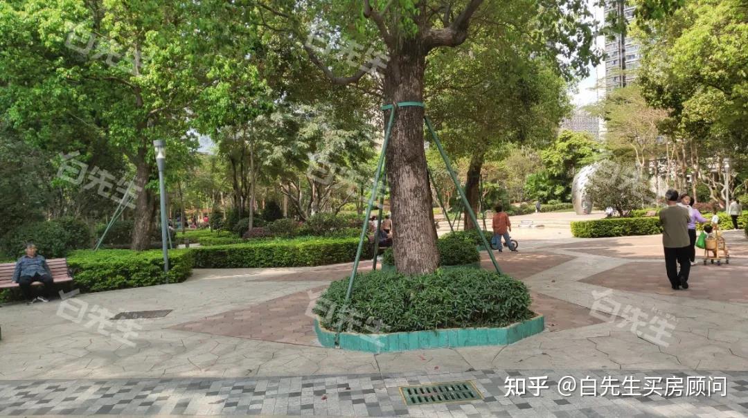 撑起龙华红山房价的深高北,学区内四大楼盘谁最强? - 知乎