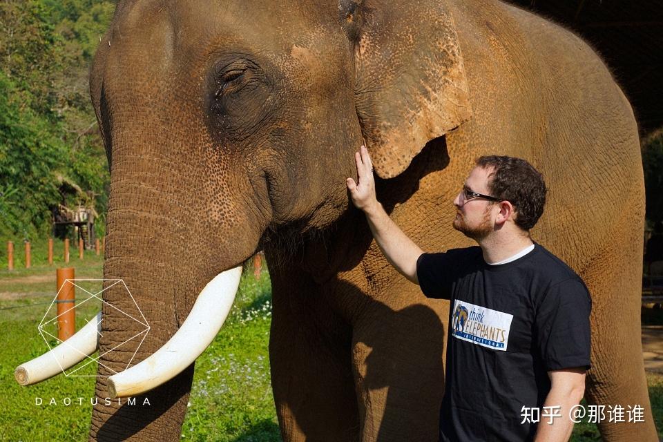 科研有意思(第01弹)·大象馆里装镜子,照出来一个新发现
